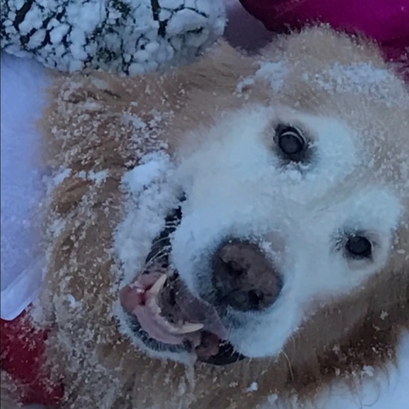 Meet your Posher, Patty - Picture 4 of 4